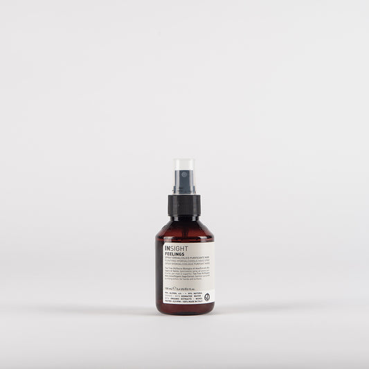 PURIFYING HYDROALCOHOLIC HAND SPRAY Bottle 100 ml